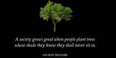 Ancient proverb: Society grows great when people plant trees whose shade they know they will never sit in.
